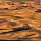 Palouse wheat fields (Image: Charles Knowles)